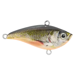 Prey Vibro Target Brook Trout 9g 5cm
