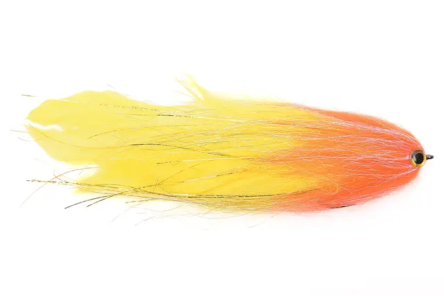 Vision Pike Ambulance 1 Vision Pike Ambulance