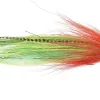 Vision Pike Parrot