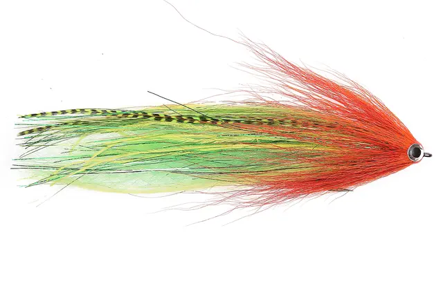 Vision Pike Parrot 1 Vision Pike Parrot