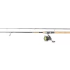 Daiwa Crossfire LT3000-C Gold Rush Pmc