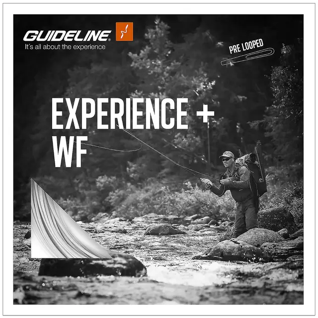 Guideline Experience+ WF #4 1 Guideline Experience+ WF #4