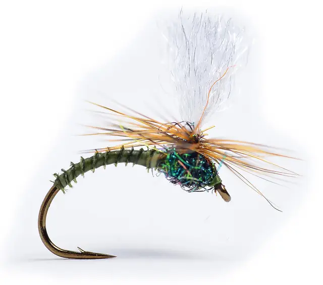 Guideline Klink Dk. Olive Biot #14 1 Guideline Klink Dk. Olive Biot #14